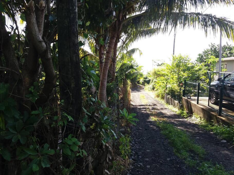 Location Saisonniere Le Clos Des Agrumes Sainte Anne Exterior foto