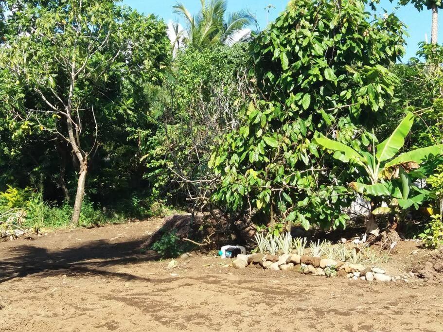 Location Saisonniere Le Clos Des Agrumes Sainte Anne Exterior foto